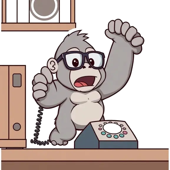 About Sillygorilla.Biz