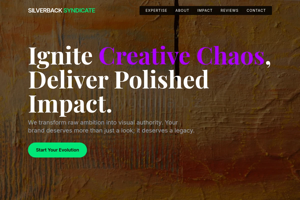 Vibe Creative Direction