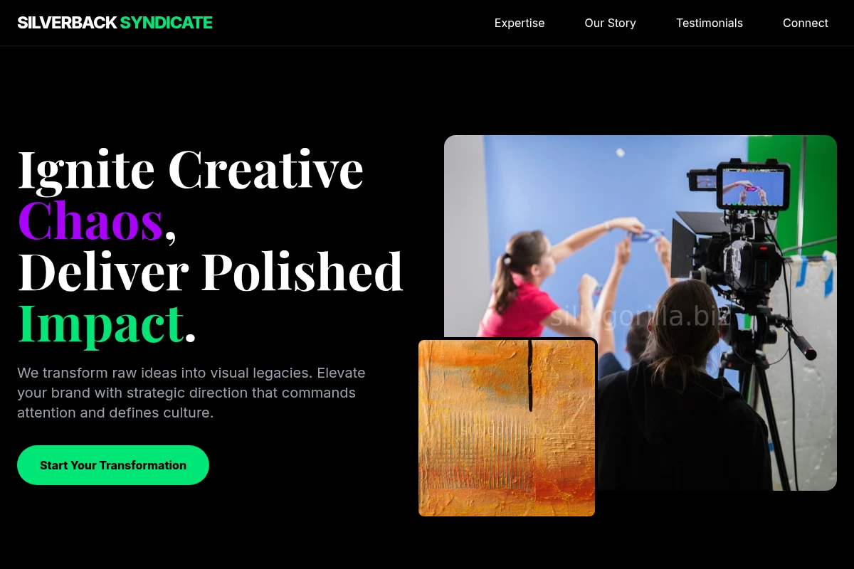 Vibe Creative Direction
